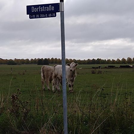 Moderne Barrierefreie Wohnung Auf Dem Land Bei Neuruppin Lichtenberg  Bagian luar foto